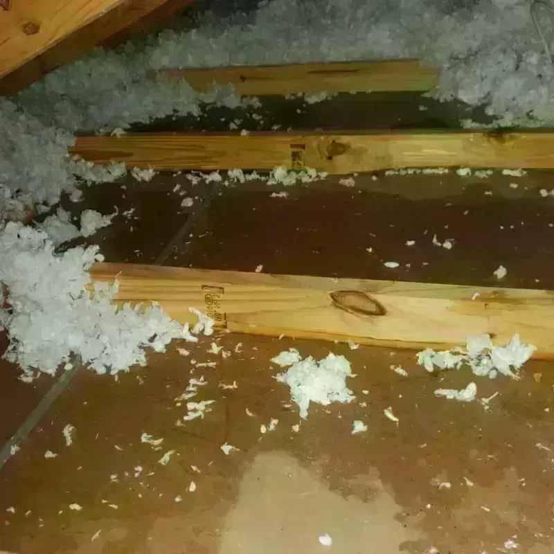 Attic Water Damage in Spencer County, KY