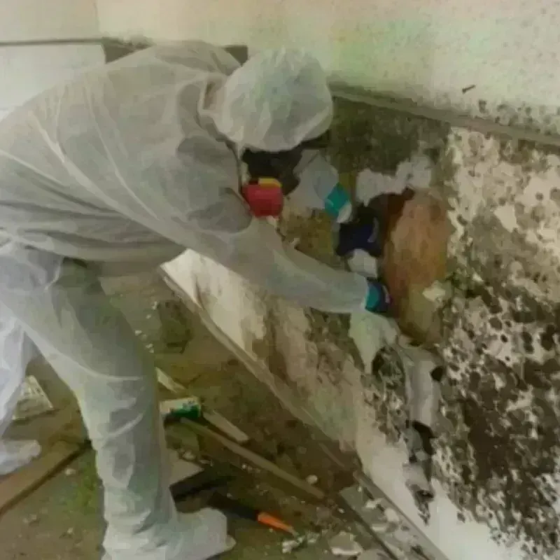 Mold Remediation and Removal in Spencer County, KY